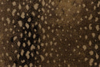 071 Caramel