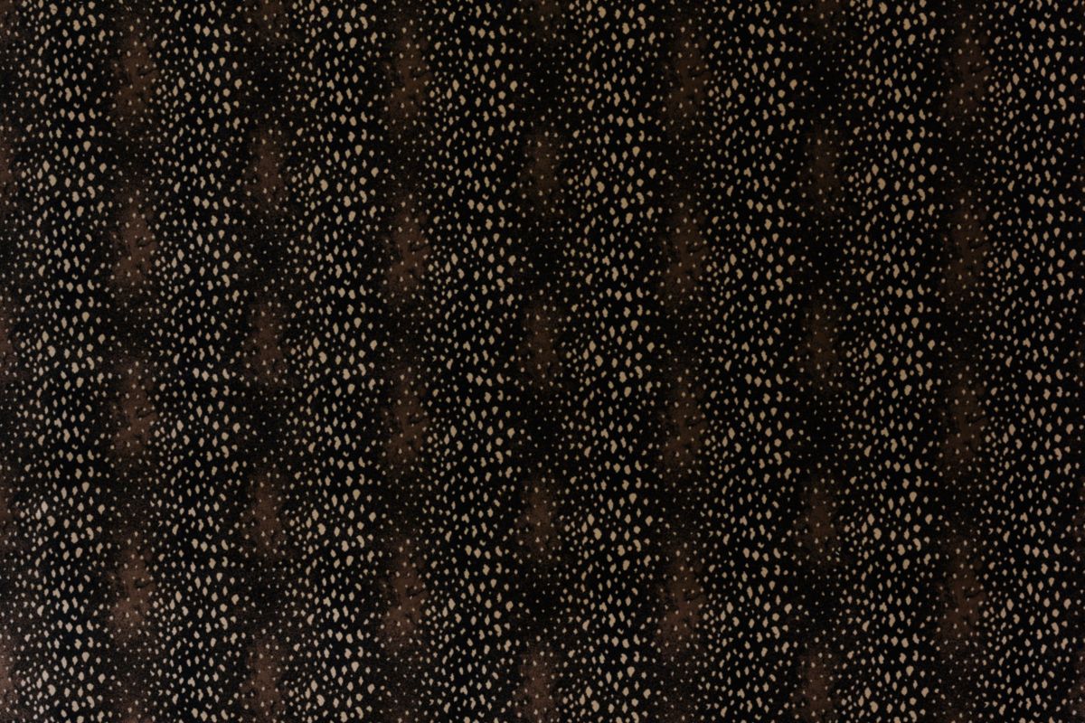 077 Coffee