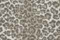 21 Sepia