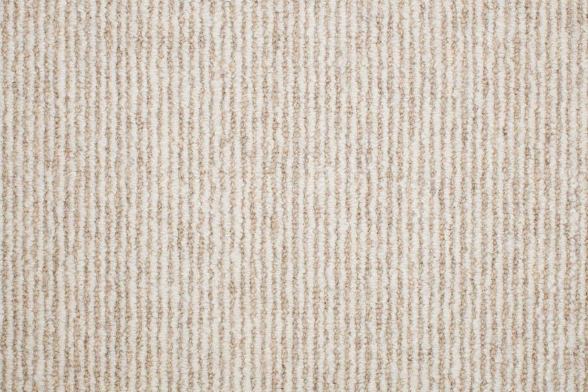 974 Sand Dollar