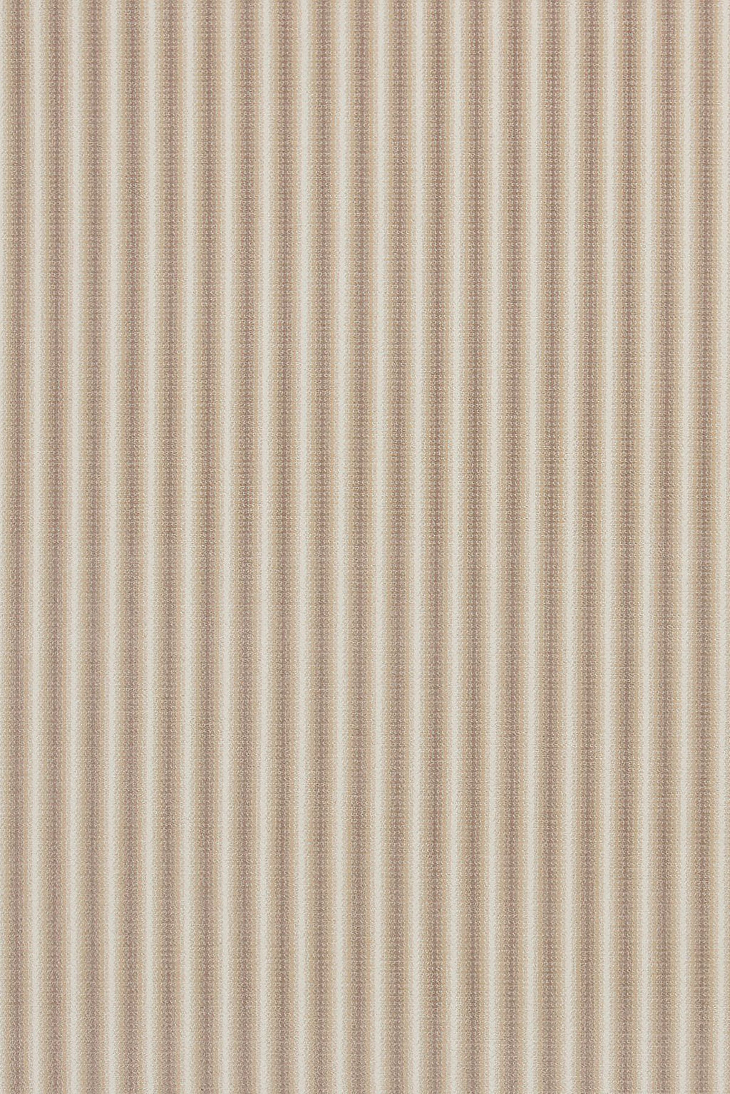 9 Sahara