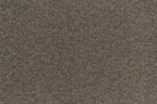 Steam Coal