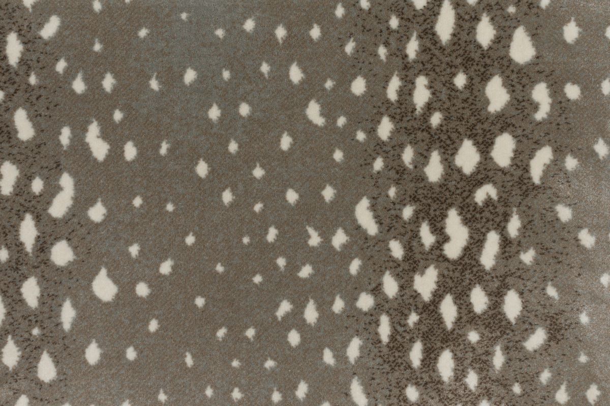 T01000725_CL