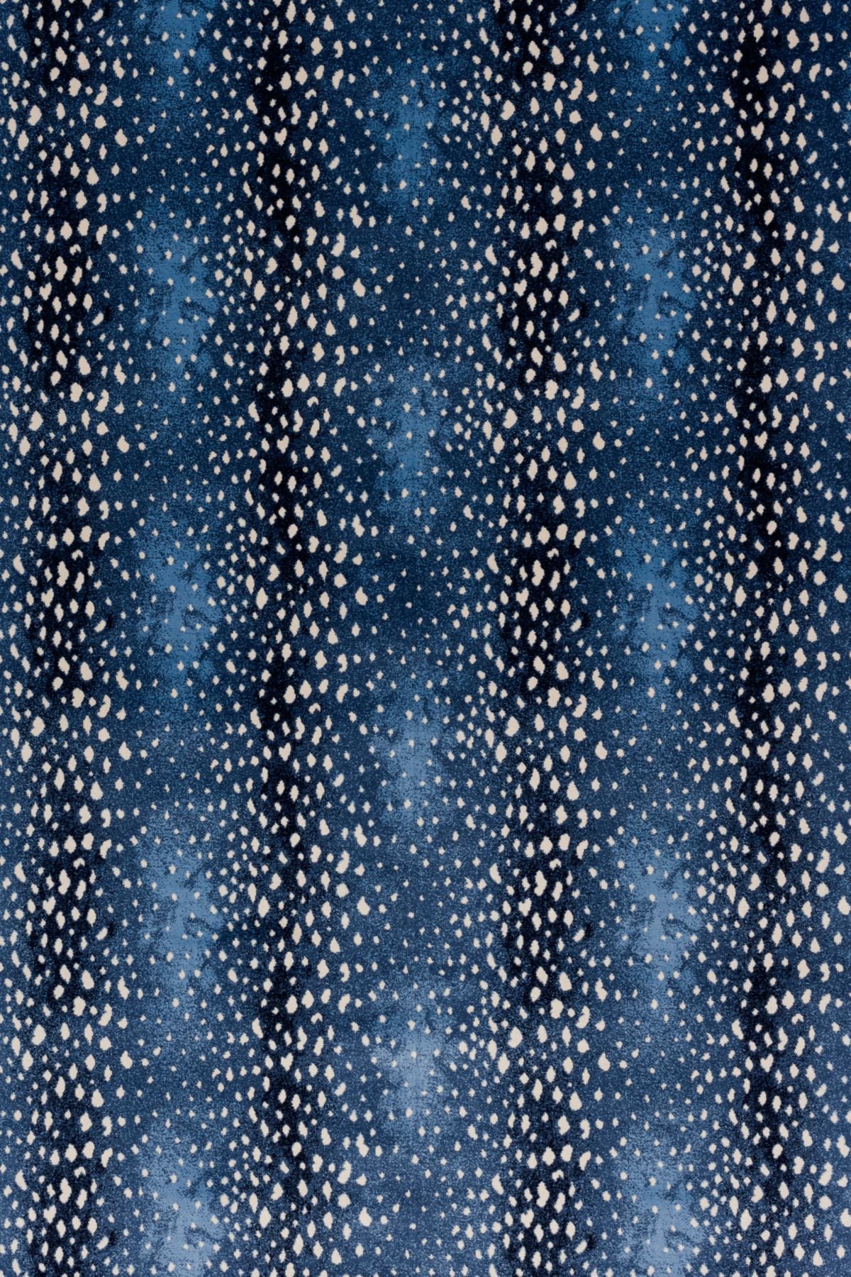T01000737_ALT2