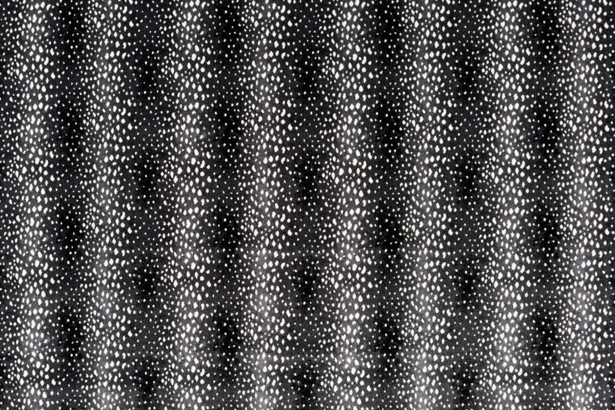 T01000740_ALT2
