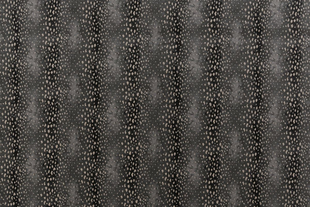 T01000741_ALT2