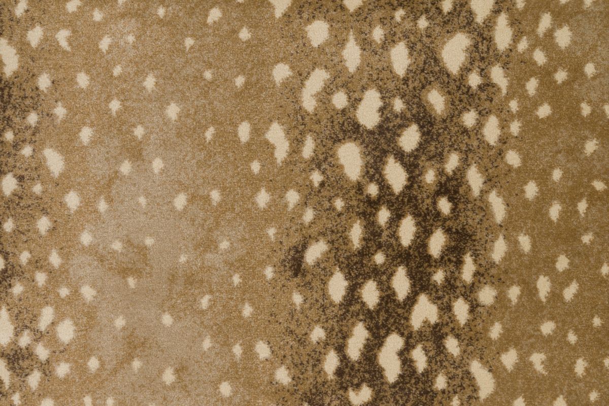 T01000745_CL