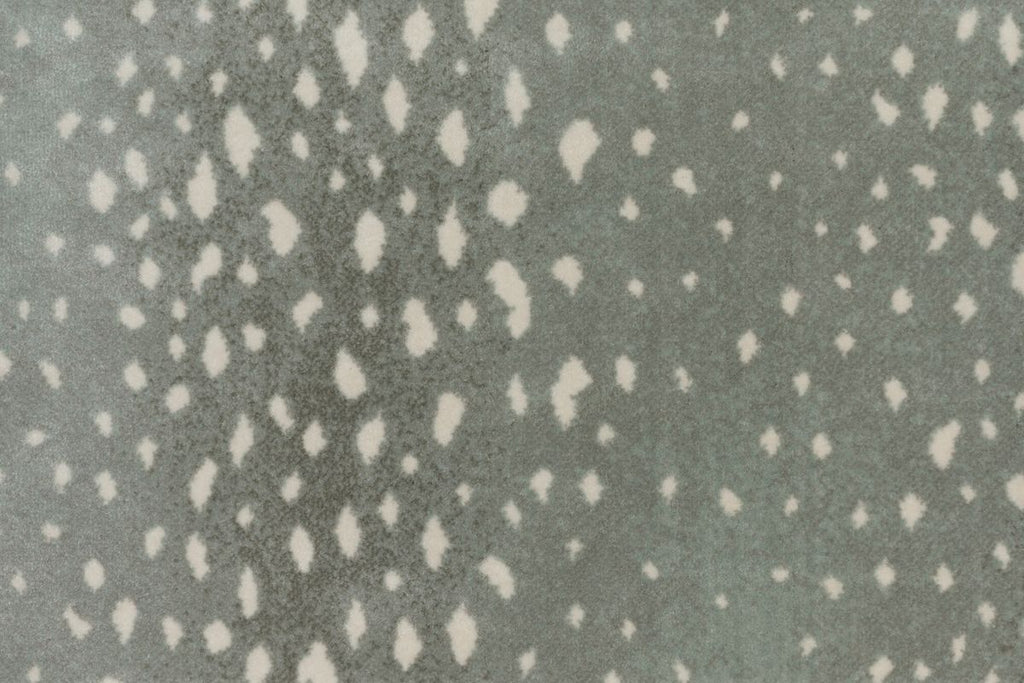 T01000757_CL