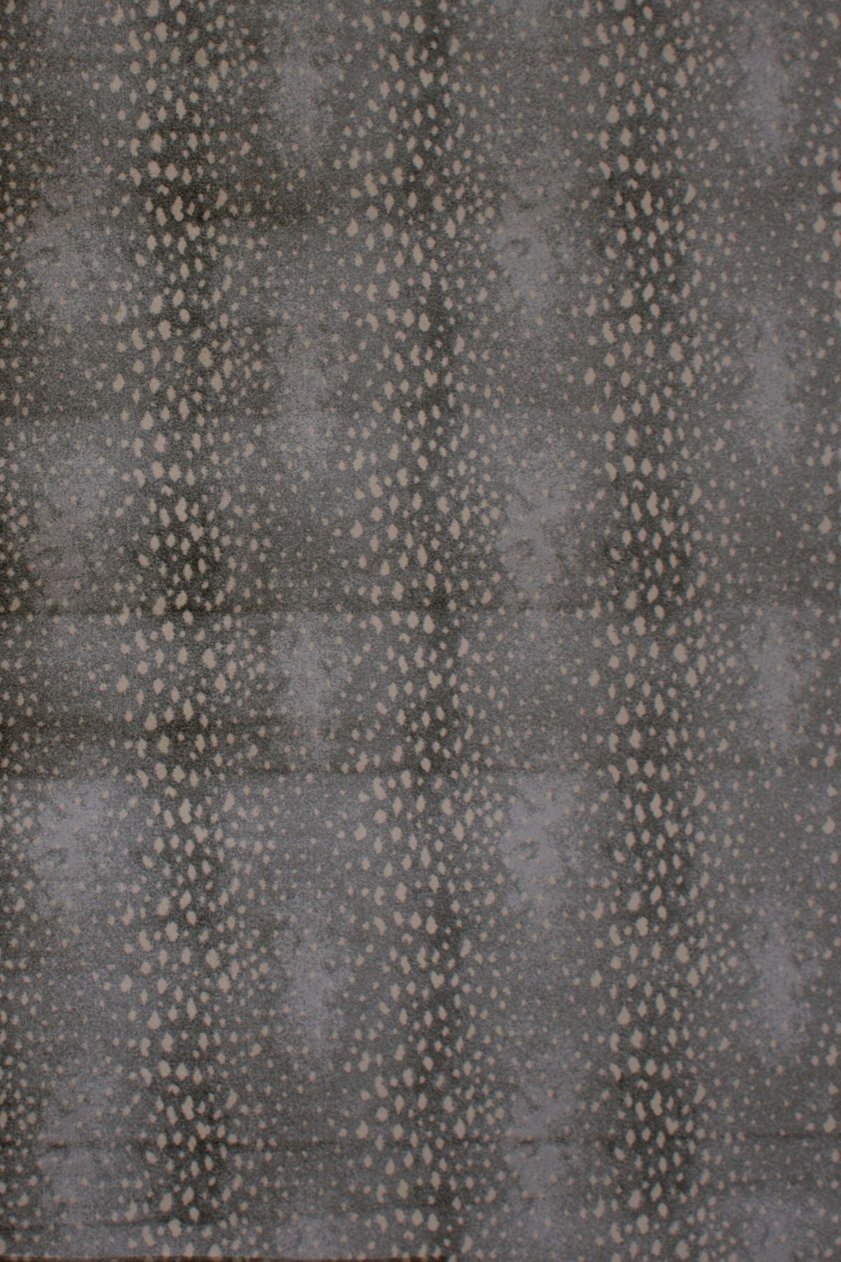 T01000762_ALT2