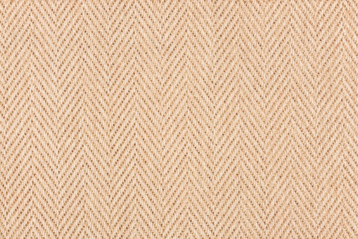 T01000834_CL