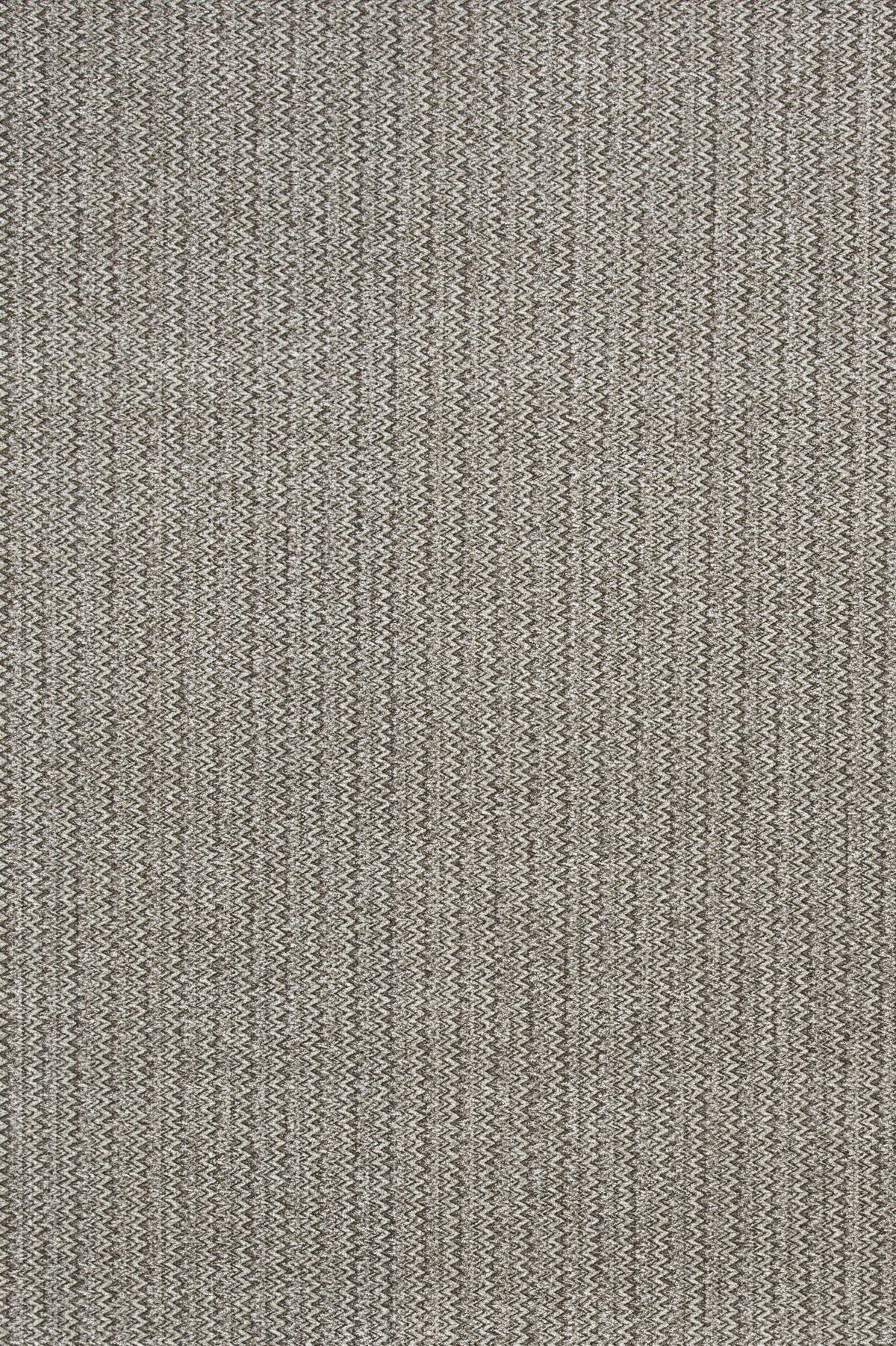 T01001031