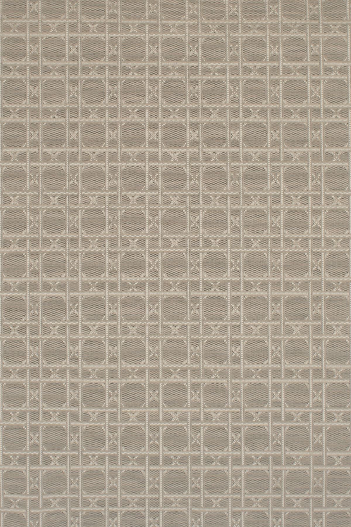 T01001570_ALT2