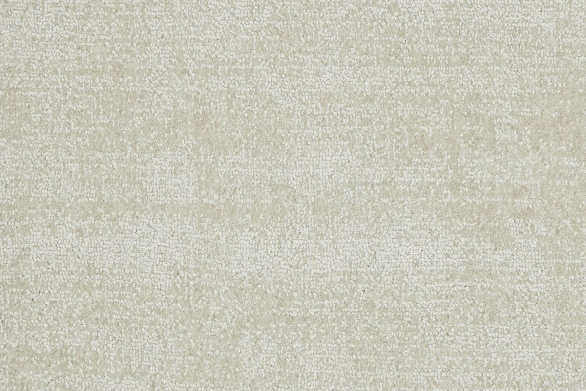 T01002926_CL