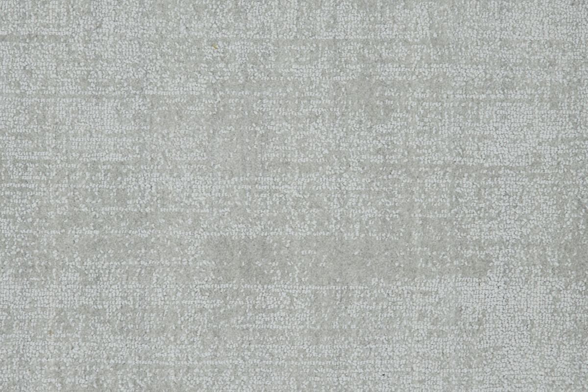 T01002931_CL