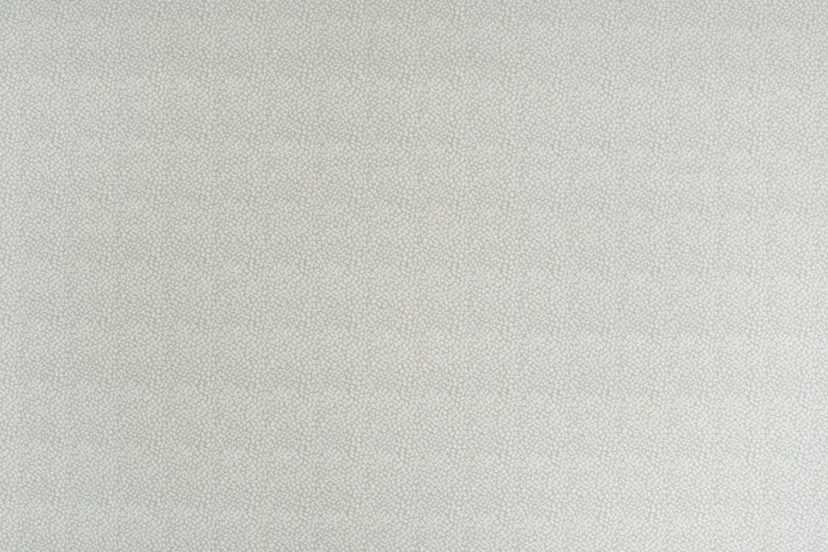 T01006887_ALT2