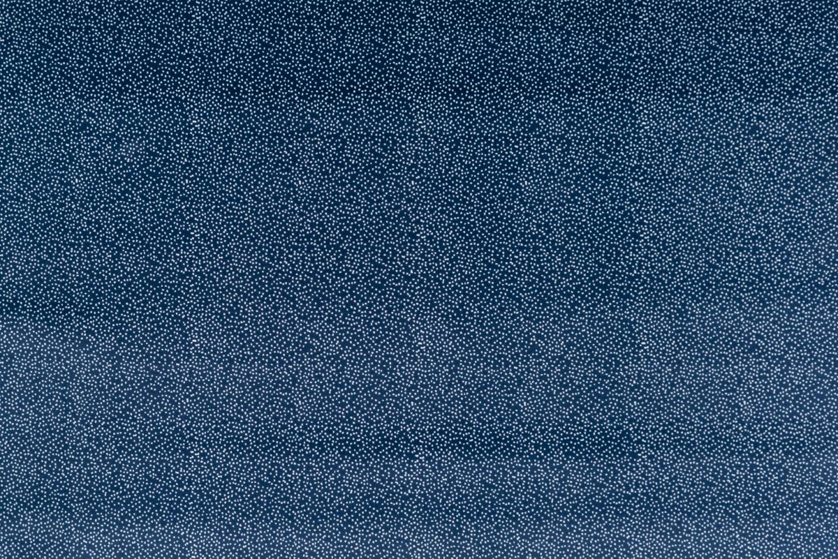 T01007029_ALT2