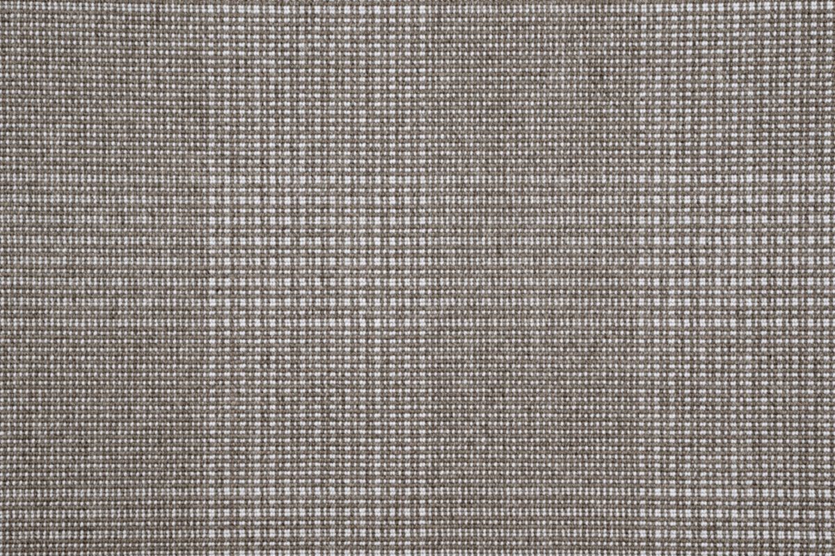 T01007096_CL
