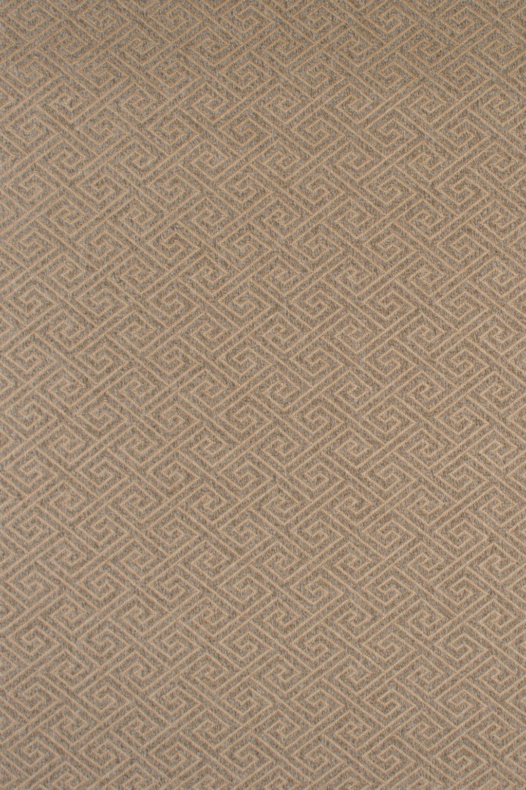 T01007265_ALT2