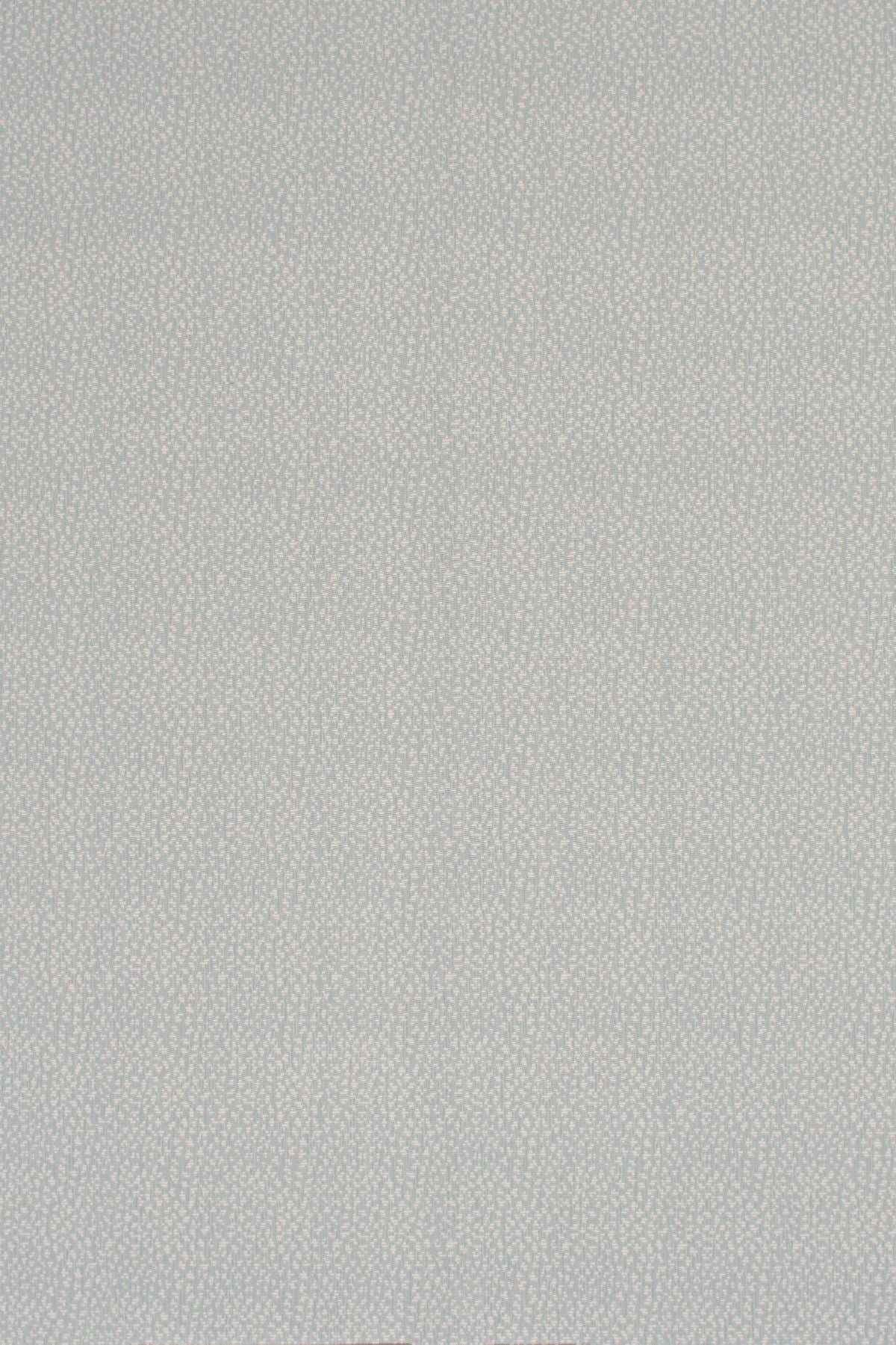 T01008946_ALT2