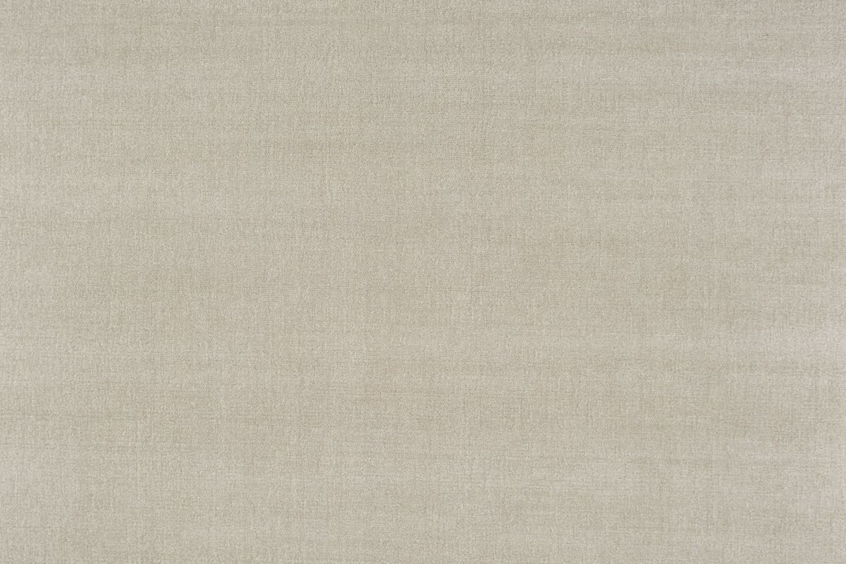 T01009504_ALT2