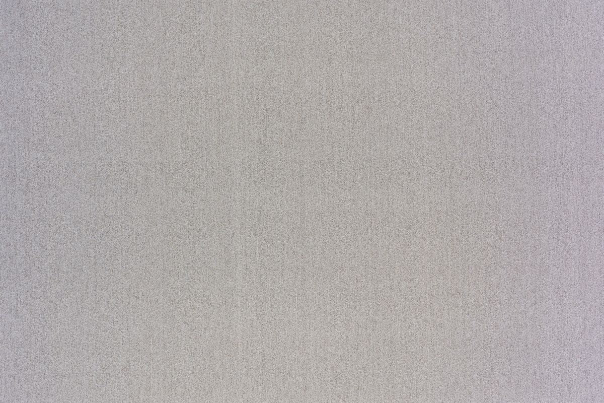 T01009904_ALT2