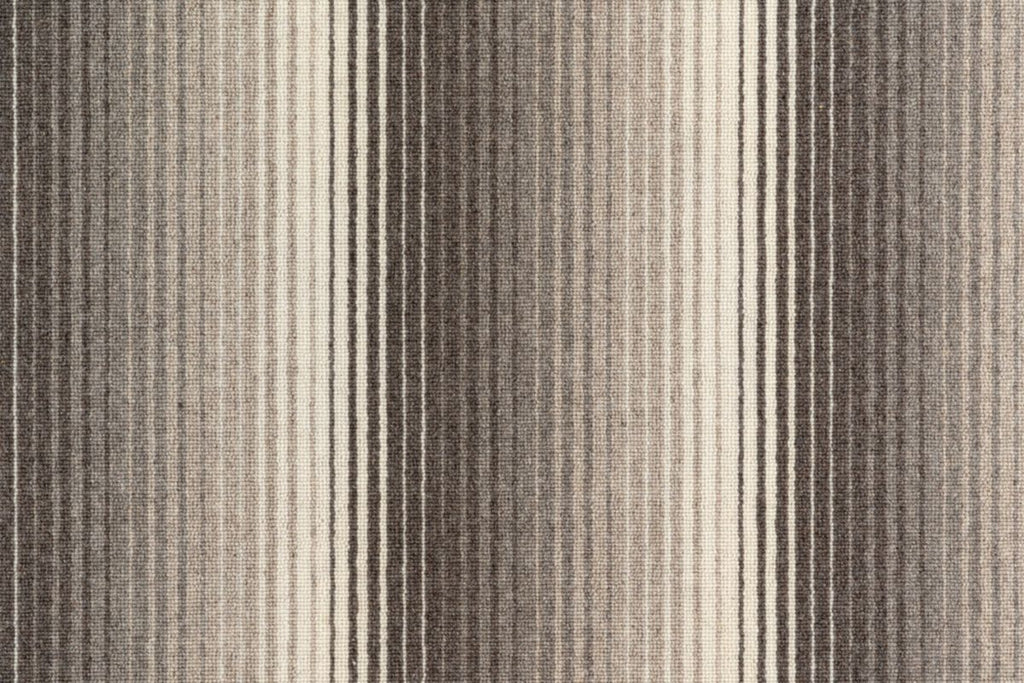 T01010643_CL