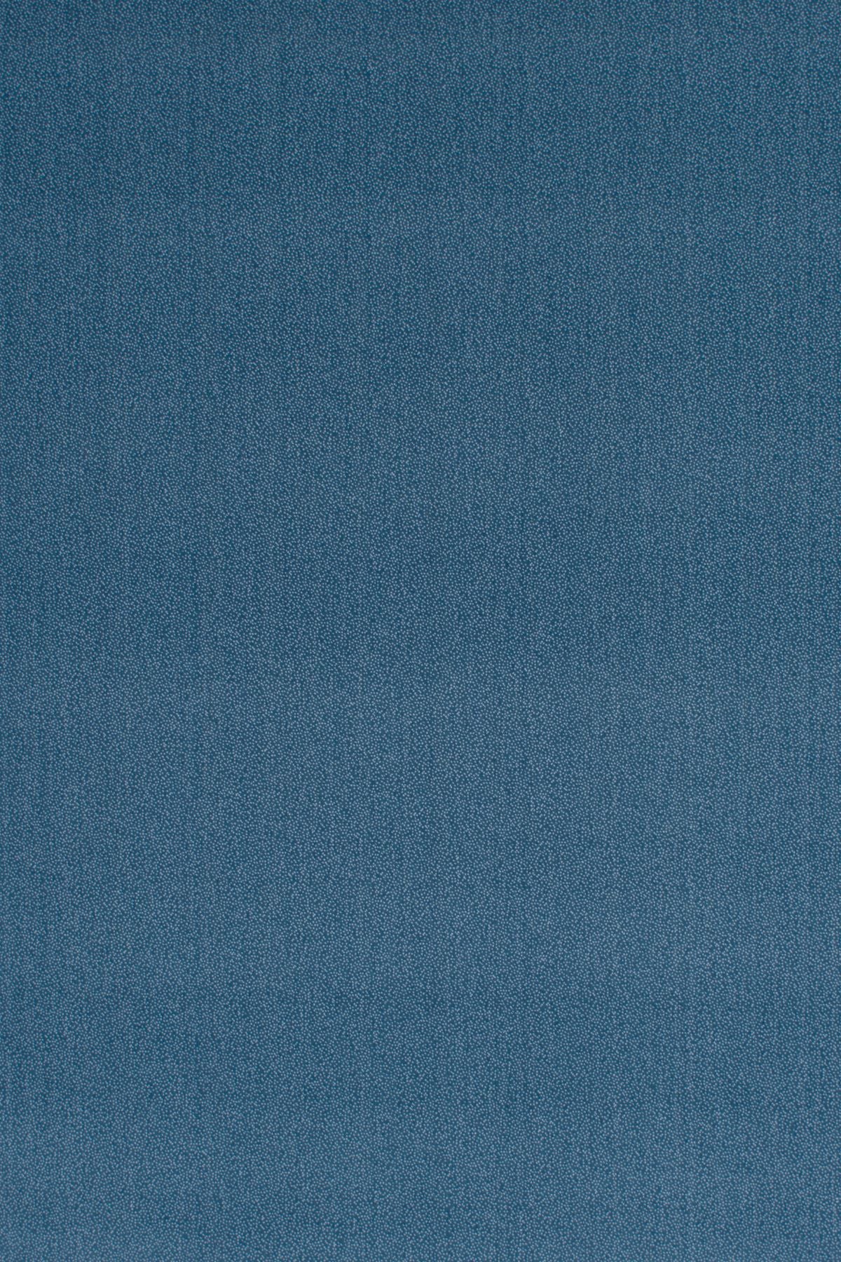 T01010724_ALT2