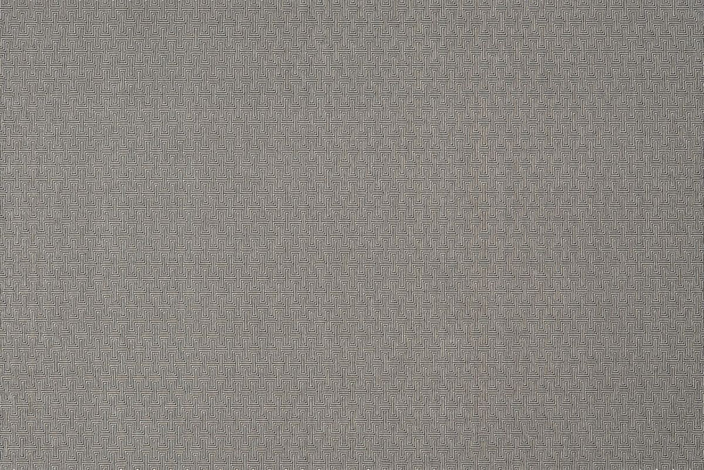 T01011762_ALT2