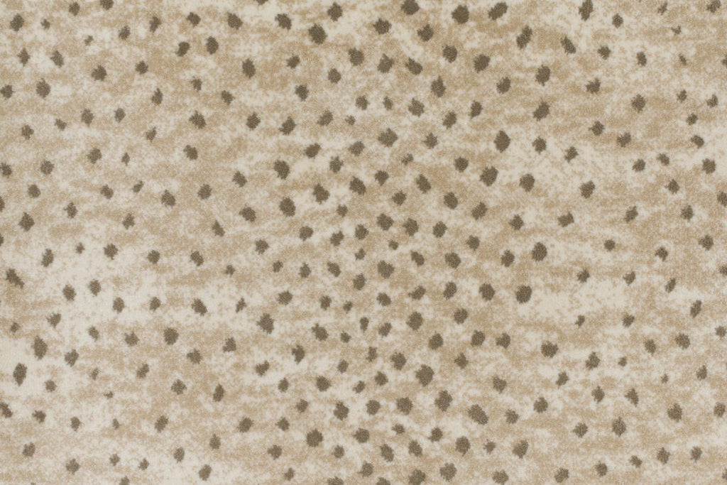 T01016439_CL