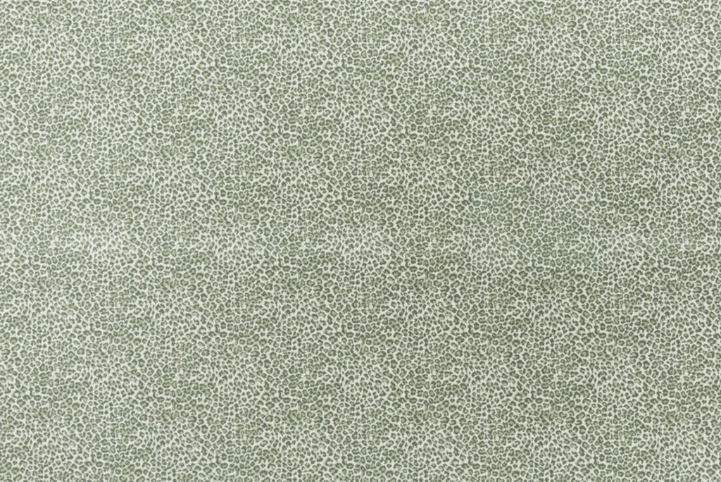 T01016847_ALT2