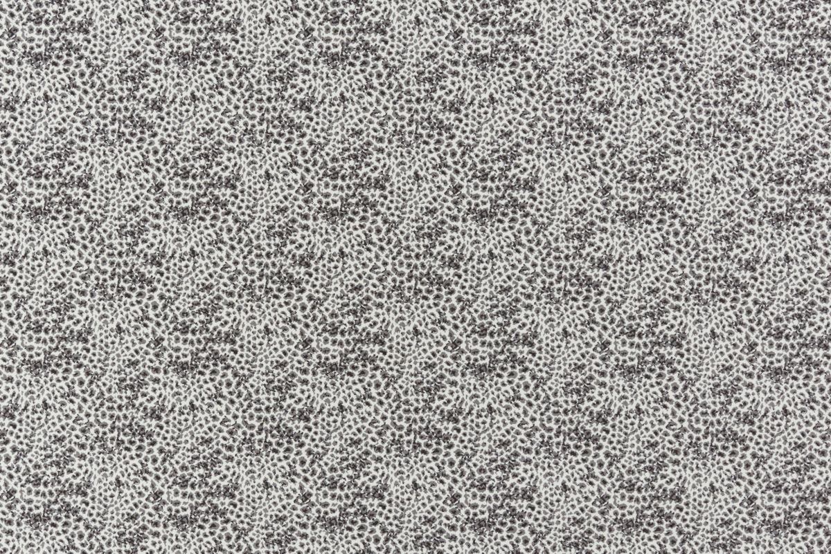 T01016848_ALT2